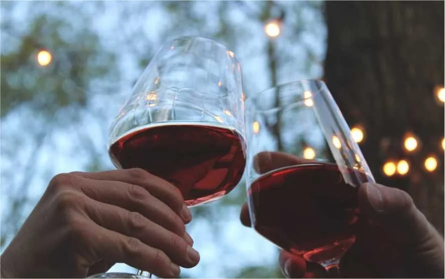 Rakije i vina