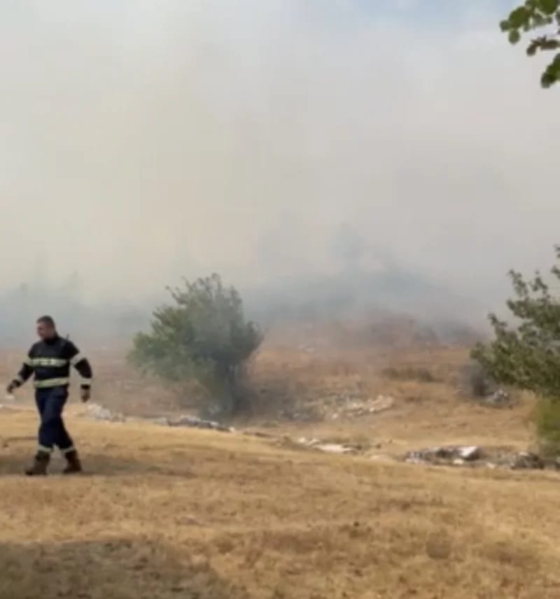 (VIDEO) U Nikšiću ponovo aktivni požari, očekuje se pomoć iz vazduha