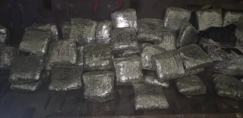 Vraćenovići: Zaplijenjeno 65 kg marihuane, lišen slobode državljanin BiH